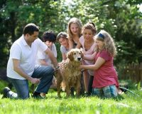 Family Pet Love: Caring for Furry Members